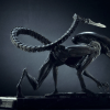 Alien dog crawling 3d printing stl files