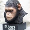 Caesar ape bust 3d printing stl files