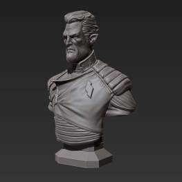 Admiral gord bust 3d print