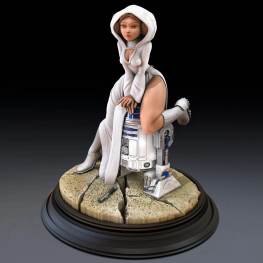 star wars leia 3d print stl