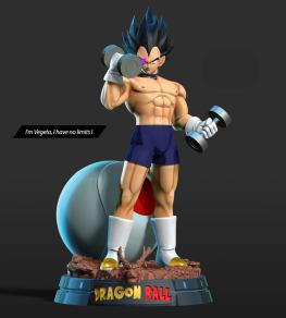 Vegeta gym 3d printing stl files