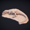 sleeping dinosaur 3d printing stl