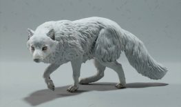arctic fox 3d print
