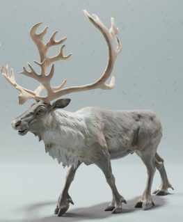 reindeer stl