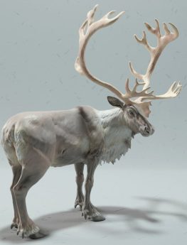 Reindeer 3d print