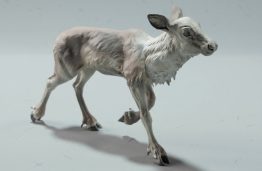 baby reindeer 3d print